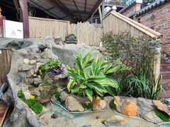 -伴山茶苑·围炉煮茶