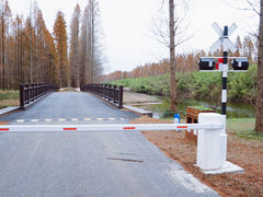 -黄海国家森林公园