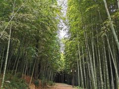 -苏州环秀晓筑养生度假村