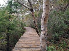 -白草畔自然风景区