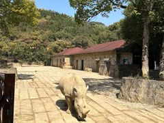 -杭州野生动物世界