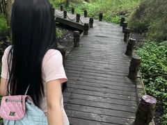 -桤木河湿地公园