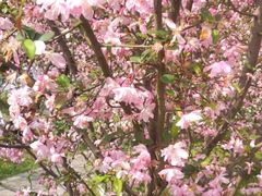 -九里河湿地公园