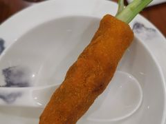 -丁老爷子苏香圆
