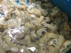 -港畔赶海蒸汽海鲜烧烤自助(仙螺岛店)