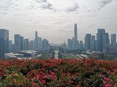 -莲花山公园