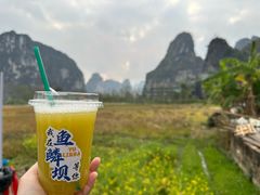 -明仕田园