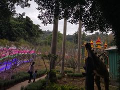-求水山公园