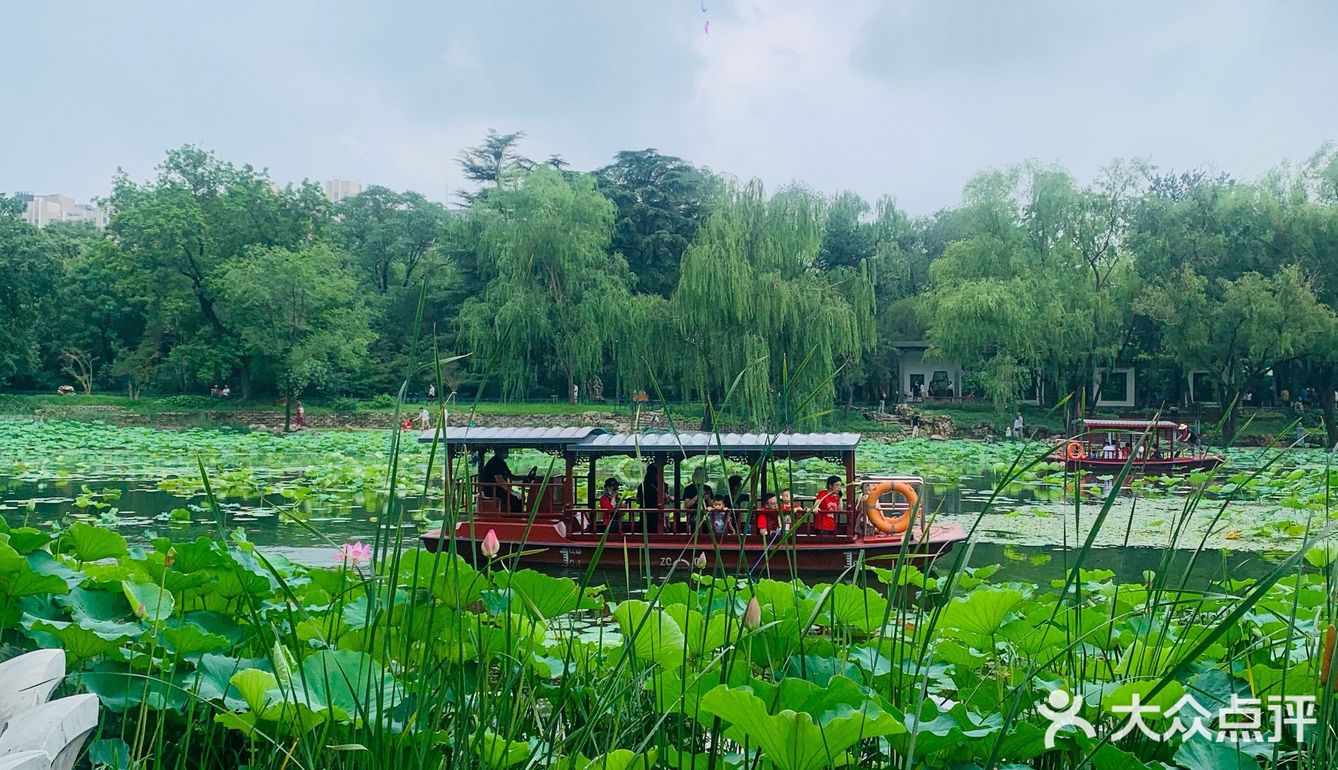 北京最值得去的免费公园｜紫竹院赏荷花🌸
