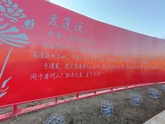 -蒲河岛湿地公园