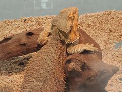 -三旗百汇商品城