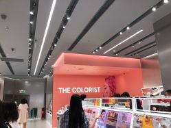 -THE COLORIST调色师