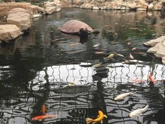 -龙达温泉生态城
