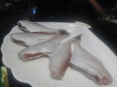 精品耗儿鱼-渝宗老灶火锅(巴国城店)