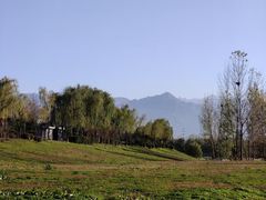 -洨河生态公园
