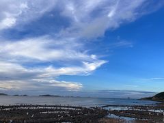 -长江澳风力发电景观区