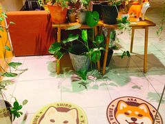 -柴务处·柴犬主题狗咖