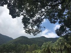 -福清灵石山国家森林公园