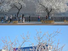-颐和园