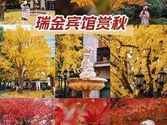-上海瑞金洲际酒店