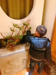 -松和日式美容整骨