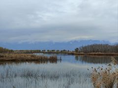 -野鸭湖国家湿地公园