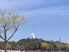 -麦当劳(新王府井店)