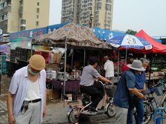 -长宁东道花卉宠物市场