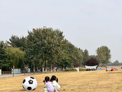 -汉长安城未央宫国家考古遗址公园