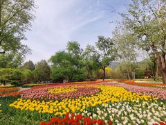 -国家植物园南园