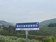 -老李家土菜馆·安吉地标美食