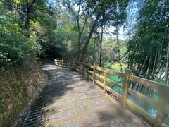 -广州市流溪河国家森林公园