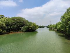 -西溪国家湿地公园