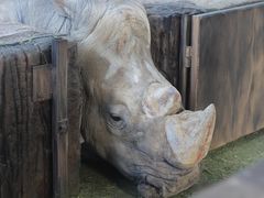 -杭州野生动物世界