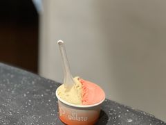 -Dip in Gelato(富民路店)