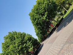 -东华大学(松江校区)