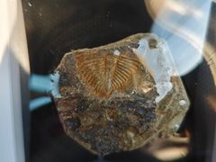 -房山世界地质公园博物馆