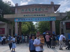 -广东茂名森林公园