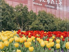 -武汉市民之家
