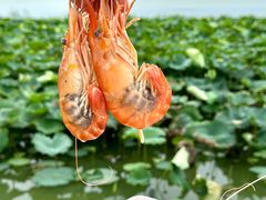 -七的湖·晚芳亭·阳澄湖农家菜·大闸蟹(莲花岛店)