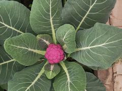 -兴芮温泉度假区