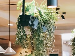 -比格比萨自助(宋家庄店)