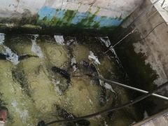 -姥家大锅台水库渔家