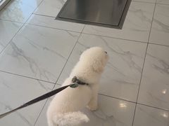 -艾吉宠物医院·疑难杂症转诊中心·猫友好(碧江路院)