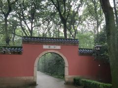 -灵谷景区