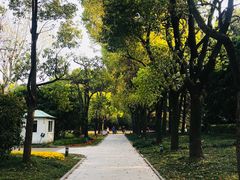 -宋庆龄陵园