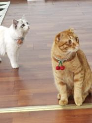 -辛德瑞拉摄影工作室(大润发店)