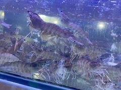 -海之鲜大排档(东山海鲜金銮湾店)