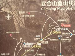 -紫金山山顶公园