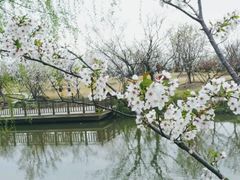 -自然谷恐龙园